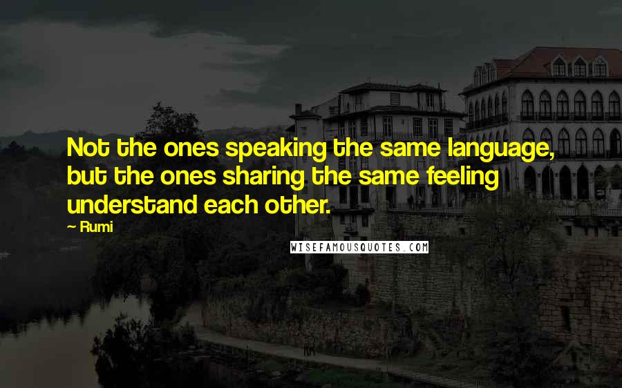 Rumi Quotes: Not the ones speaking the same language, but the ones sharing the same feeling understand each other.