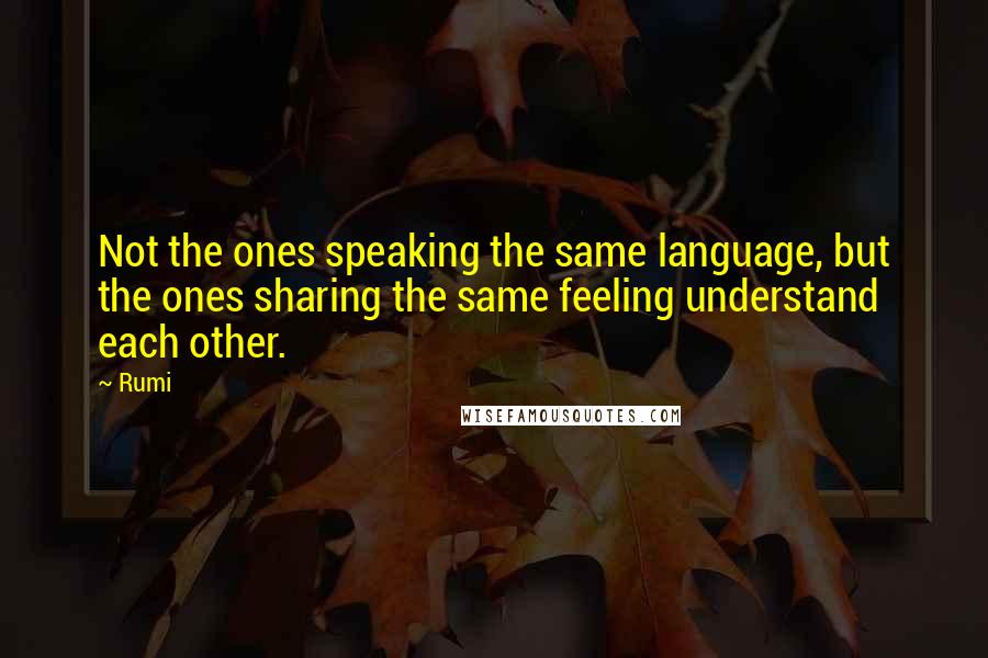 Rumi Quotes: Not the ones speaking the same language, but the ones sharing the same feeling understand each other.