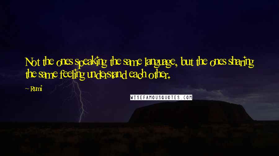 Rumi Quotes: Not the ones speaking the same language, but the ones sharing the same feeling understand each other.