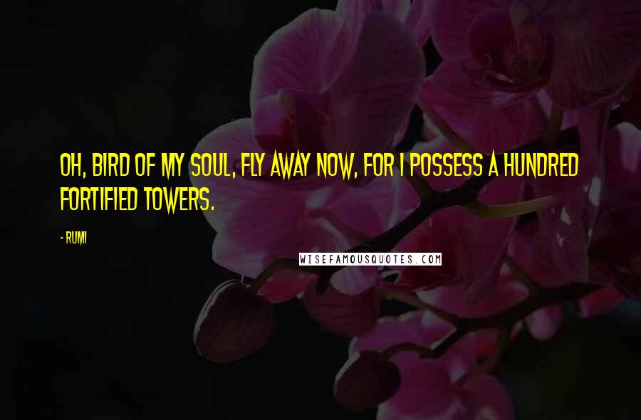 Rumi Quotes: Oh, bird of my soul, fly away now, For I possess a hundred fortified towers.