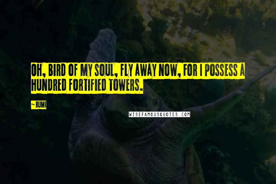 Rumi Quotes: Oh, bird of my soul, fly away now, For I possess a hundred fortified towers.