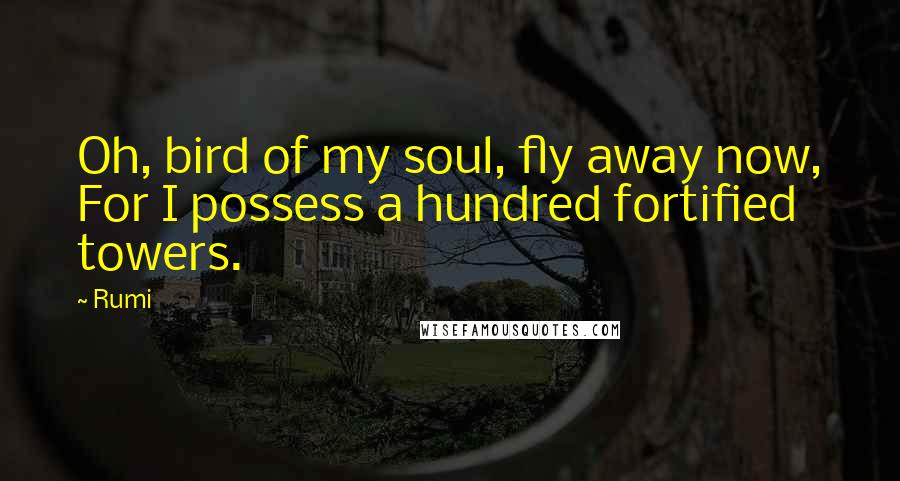 Rumi Quotes: Oh, bird of my soul, fly away now, For I possess a hundred fortified towers.