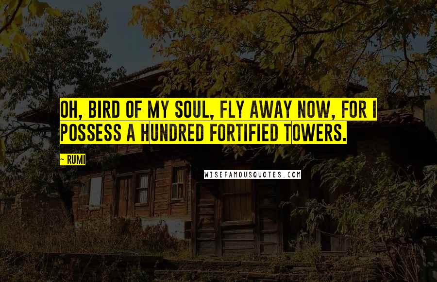 Rumi Quotes: Oh, bird of my soul, fly away now, For I possess a hundred fortified towers.