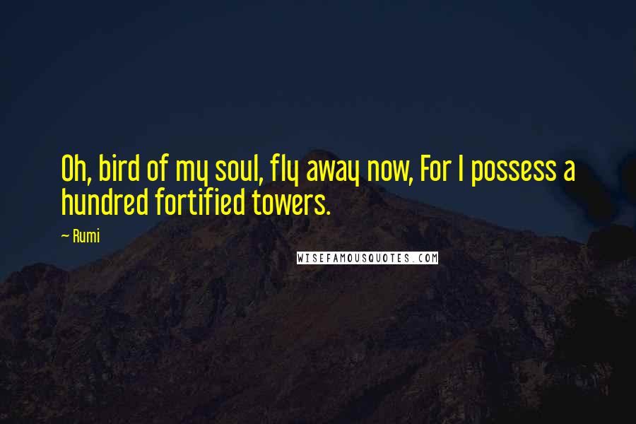 Rumi Quotes: Oh, bird of my soul, fly away now, For I possess a hundred fortified towers.