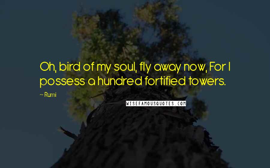 Rumi Quotes: Oh, bird of my soul, fly away now, For I possess a hundred fortified towers.