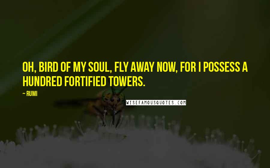 Rumi Quotes: Oh, bird of my soul, fly away now, For I possess a hundred fortified towers.