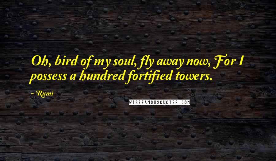 Rumi Quotes: Oh, bird of my soul, fly away now, For I possess a hundred fortified towers.