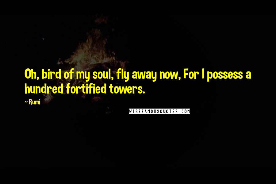 Rumi Quotes: Oh, bird of my soul, fly away now, For I possess a hundred fortified towers.