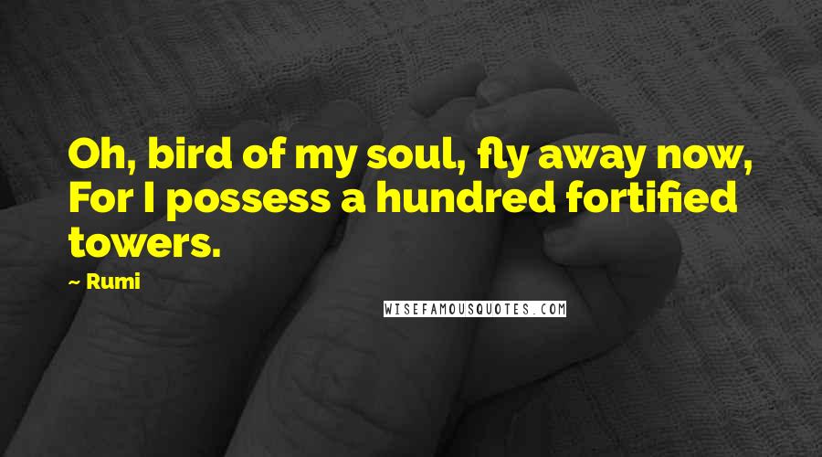 Rumi Quotes: Oh, bird of my soul, fly away now, For I possess a hundred fortified towers.