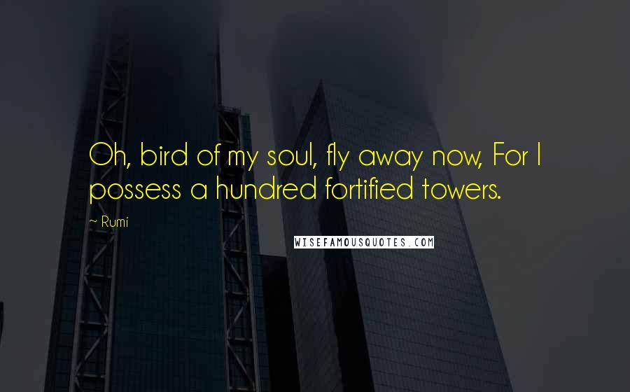 Rumi Quotes: Oh, bird of my soul, fly away now, For I possess a hundred fortified towers.
