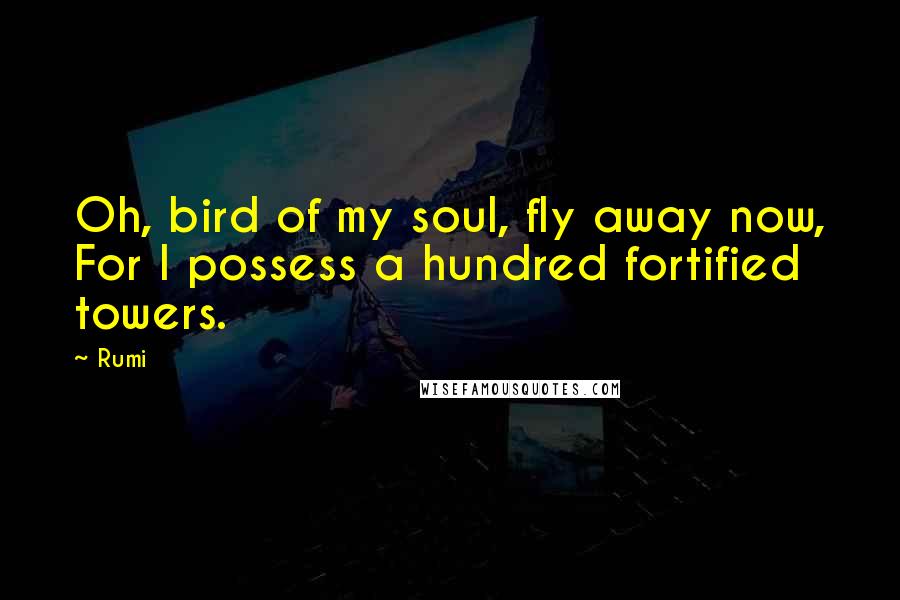 Rumi Quotes: Oh, bird of my soul, fly away now, For I possess a hundred fortified towers.