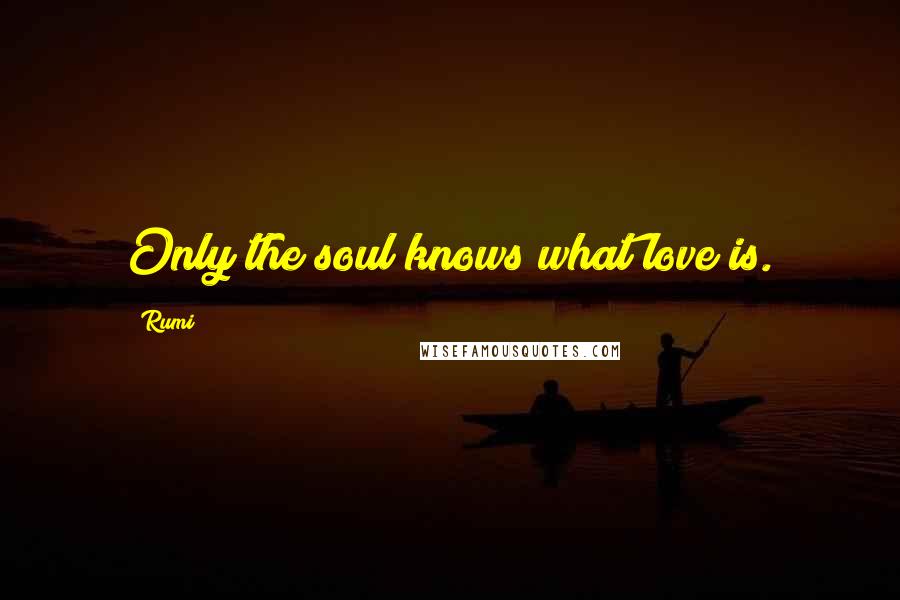 Rumi Quotes: Only the soul knows what love is.