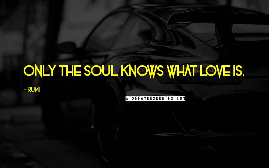 Rumi Quotes: Only the soul knows what love is.