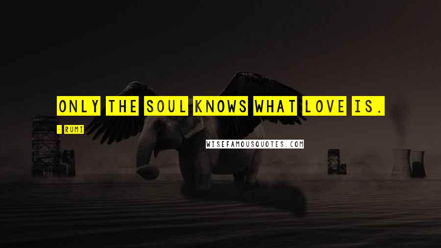 Rumi Quotes: Only the soul knows what love is.