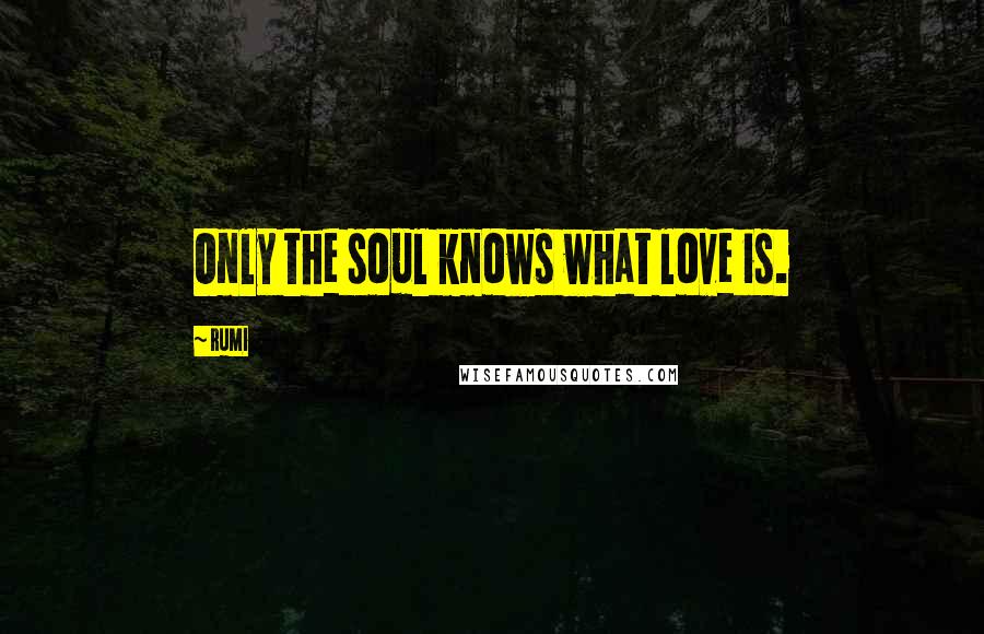 Rumi Quotes: Only the soul knows what love is.