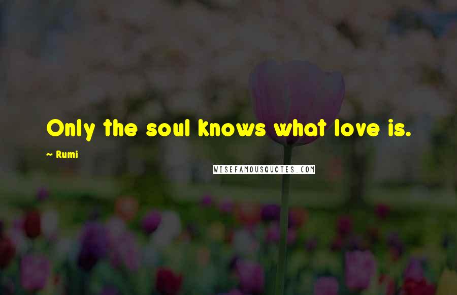 Rumi Quotes: Only the soul knows what love is.