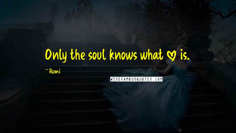 Rumi Quotes: Only the soul knows what love is.