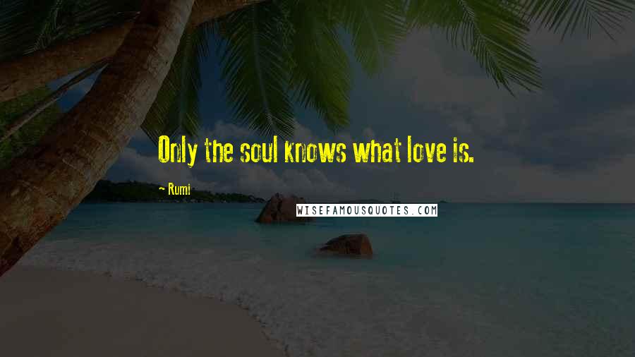 Rumi Quotes: Only the soul knows what love is.