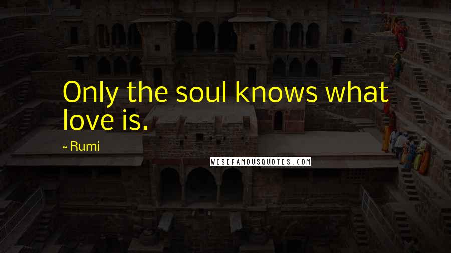 Rumi Quotes: Only the soul knows what love is.