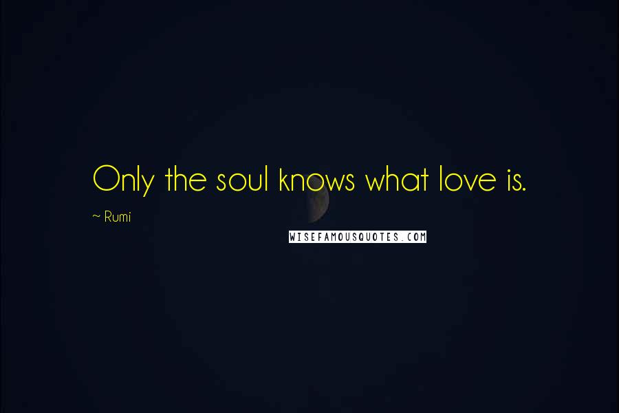 Rumi Quotes: Only the soul knows what love is.