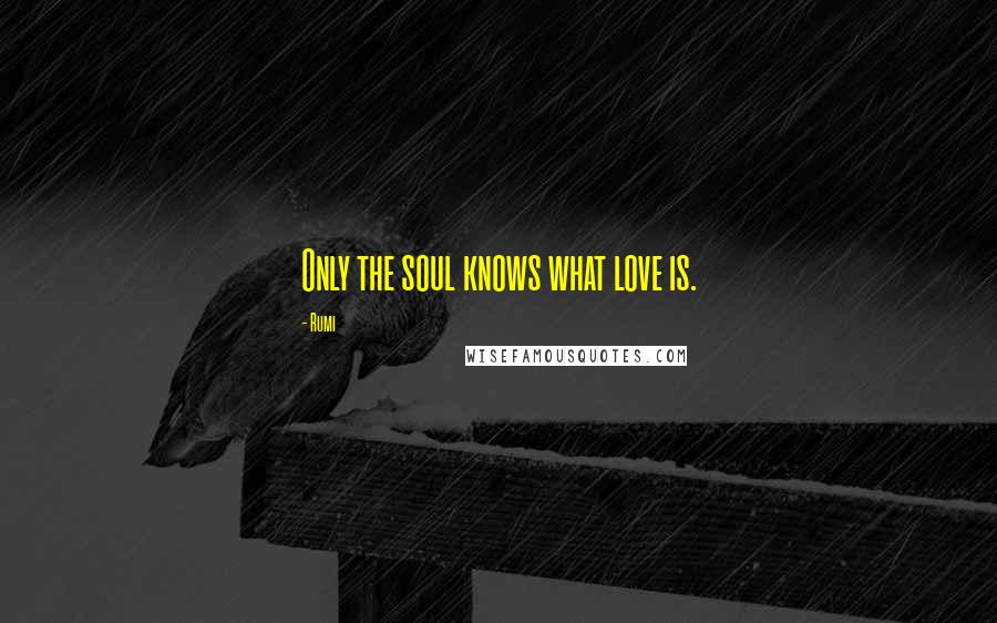 Rumi Quotes: Only the soul knows what love is.