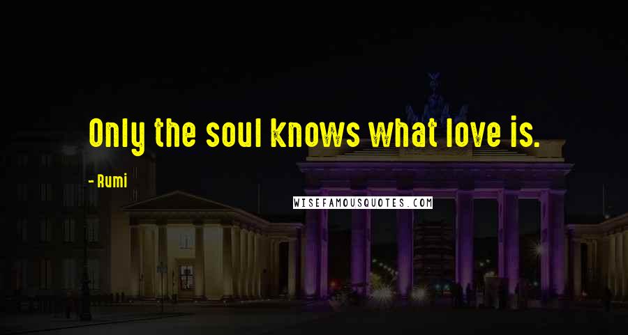 Rumi Quotes: Only the soul knows what love is.