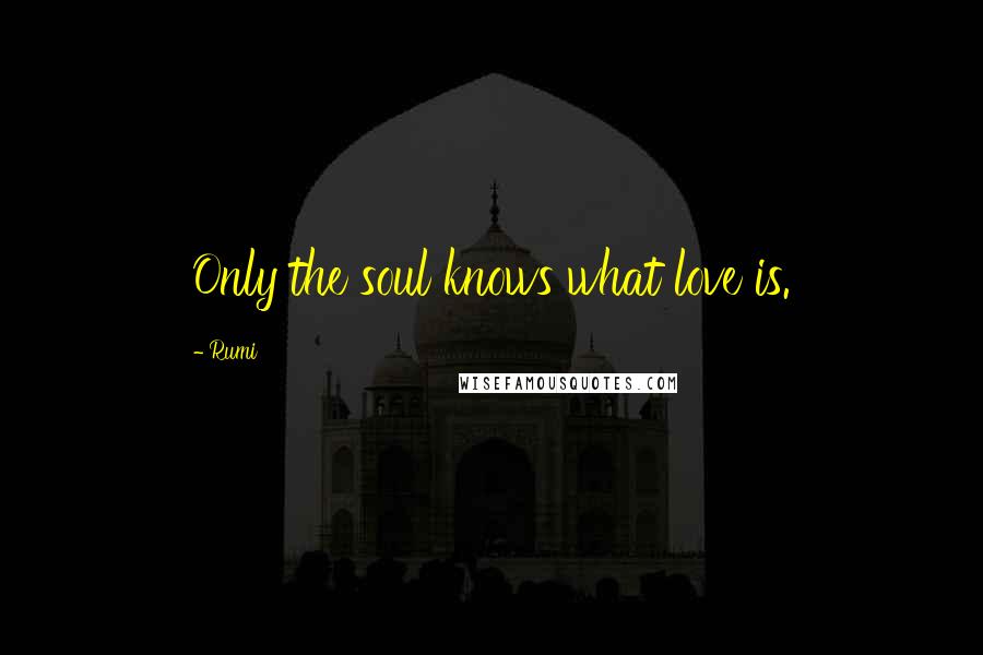 Rumi Quotes: Only the soul knows what love is.