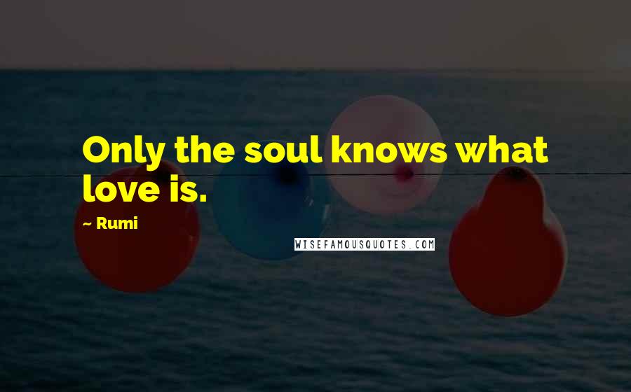 Rumi Quotes: Only the soul knows what love is.