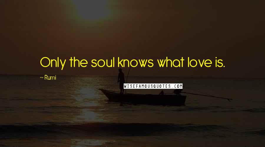 Rumi Quotes: Only the soul knows what love is.