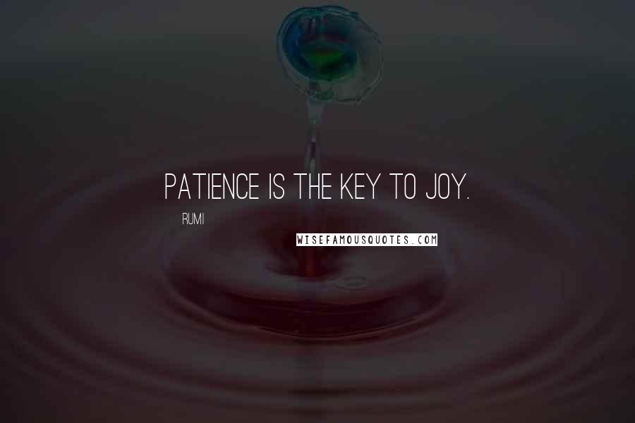 Rumi Quotes: Patience is the key to joy.