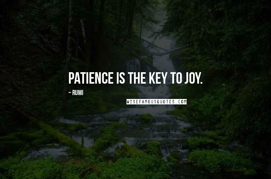 Rumi Quotes: Patience is the key to joy.