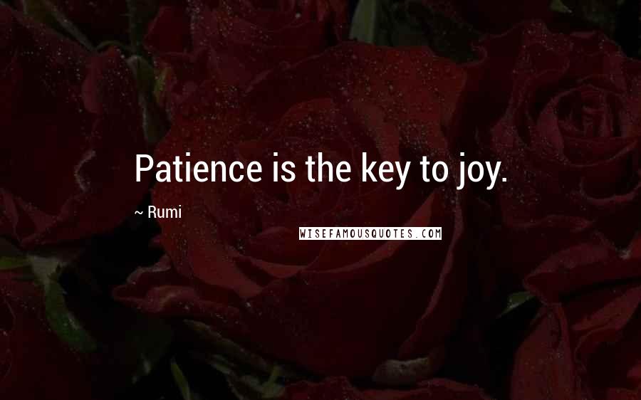 Rumi Quotes: Patience is the key to joy.