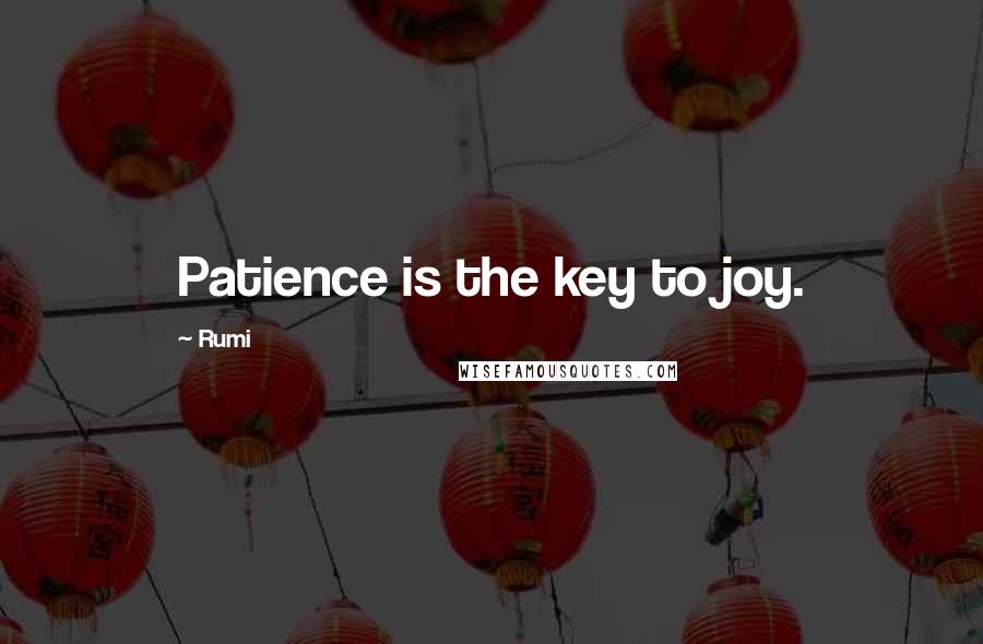 Rumi Quotes: Patience is the key to joy.