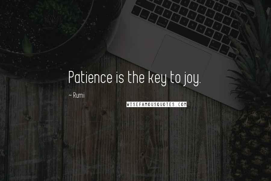 Rumi Quotes: Patience is the key to joy.