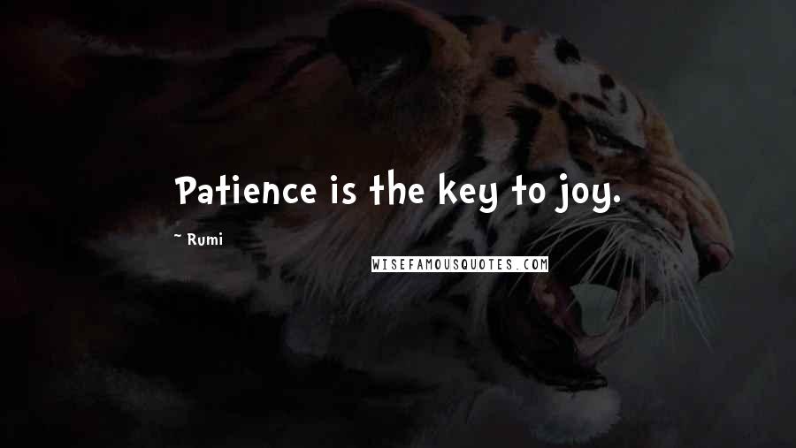 Rumi Quotes: Patience is the key to joy.