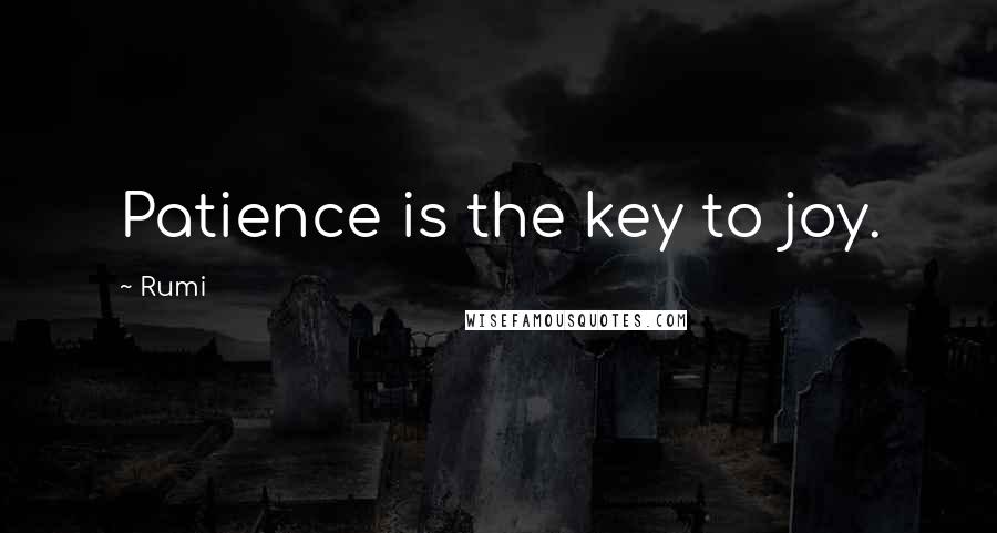 Rumi Quotes: Patience is the key to joy.