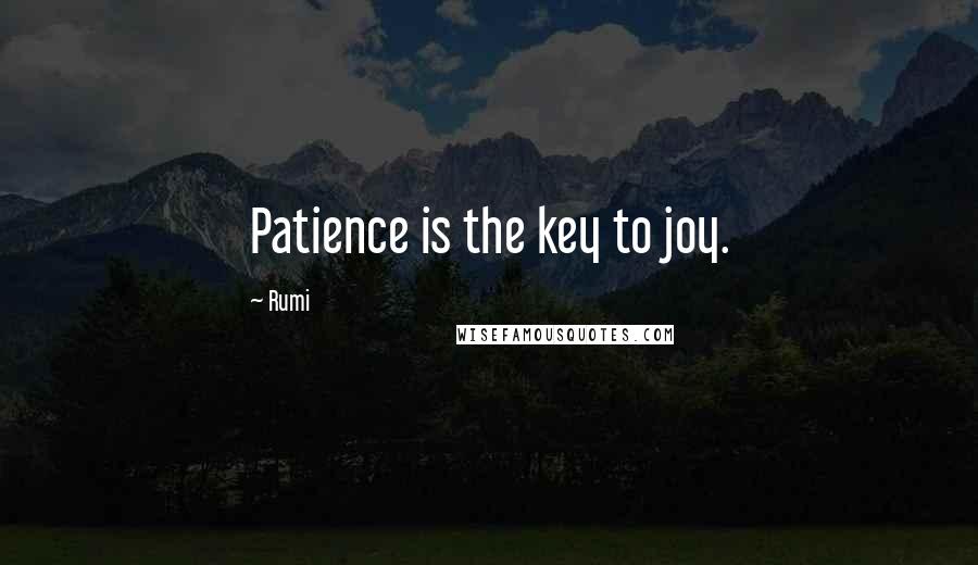 Rumi Quotes: Patience is the key to joy.