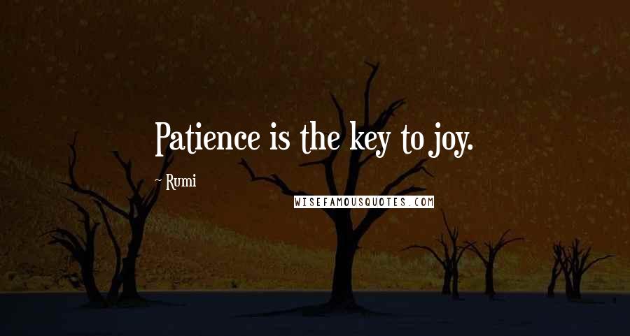 Rumi Quotes: Patience is the key to joy.