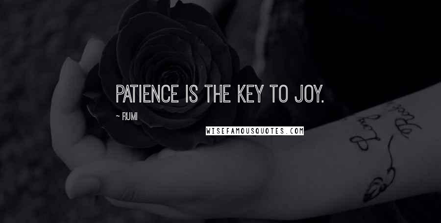 Rumi Quotes: Patience is the key to joy.