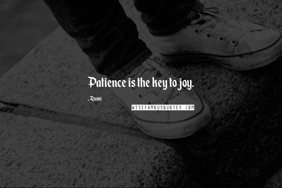 Rumi Quotes: Patience is the key to joy.