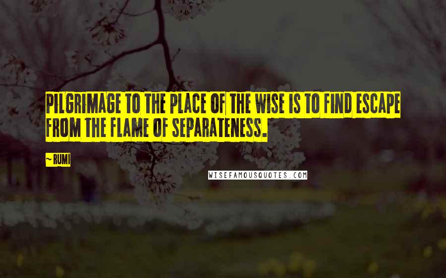 Rumi Quotes: Pilgrimage to the place of the wise is to find escape from the flame of separateness.