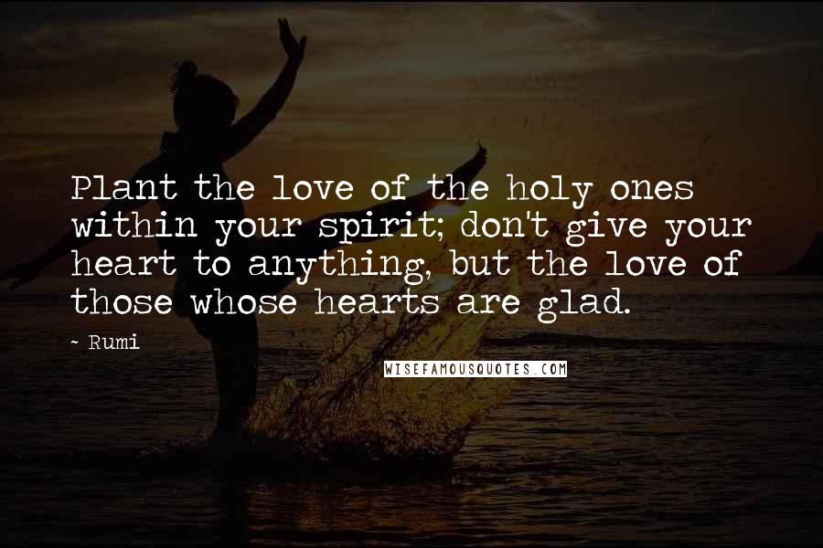 Rumi Quotes: Plant the love of the holy ones within your spirit; don't give your heart to anything, but the love of those whose hearts are glad.