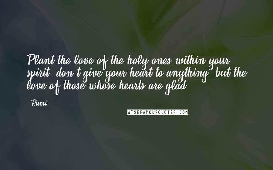 Rumi Quotes: Plant the love of the holy ones within your spirit; don't give your heart to anything, but the love of those whose hearts are glad.