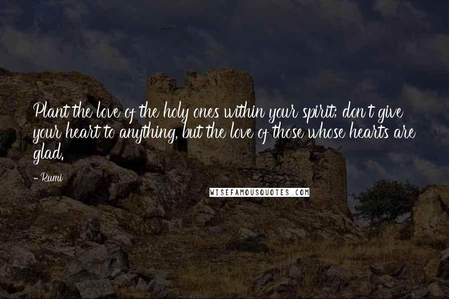 Rumi Quotes: Plant the love of the holy ones within your spirit; don't give your heart to anything, but the love of those whose hearts are glad.