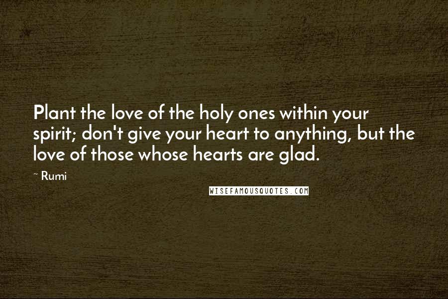 Rumi Quotes: Plant the love of the holy ones within your spirit; don't give your heart to anything, but the love of those whose hearts are glad.