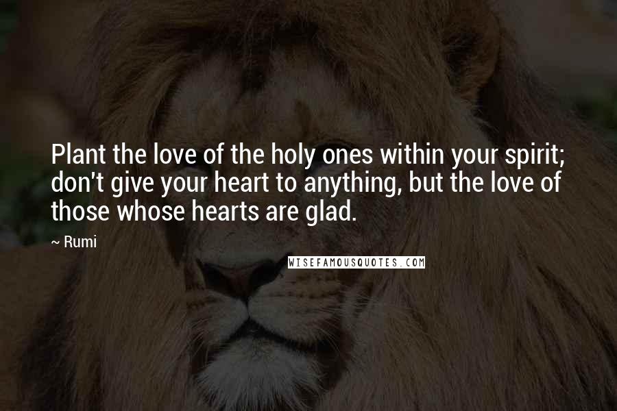 Rumi Quotes: Plant the love of the holy ones within your spirit; don't give your heart to anything, but the love of those whose hearts are glad.