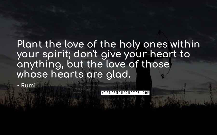 Rumi Quotes: Plant the love of the holy ones within your spirit; don't give your heart to anything, but the love of those whose hearts are glad.