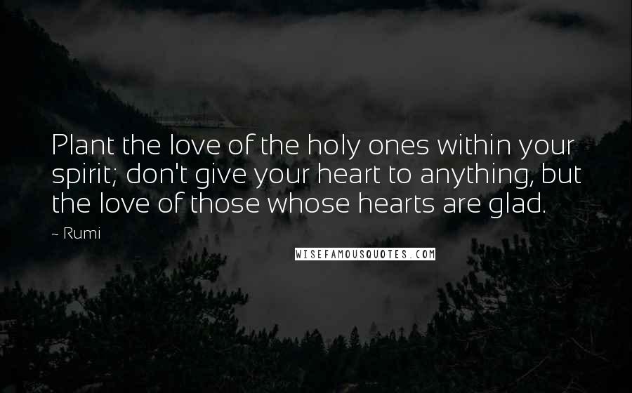 Rumi Quotes: Plant the love of the holy ones within your spirit; don't give your heart to anything, but the love of those whose hearts are glad.