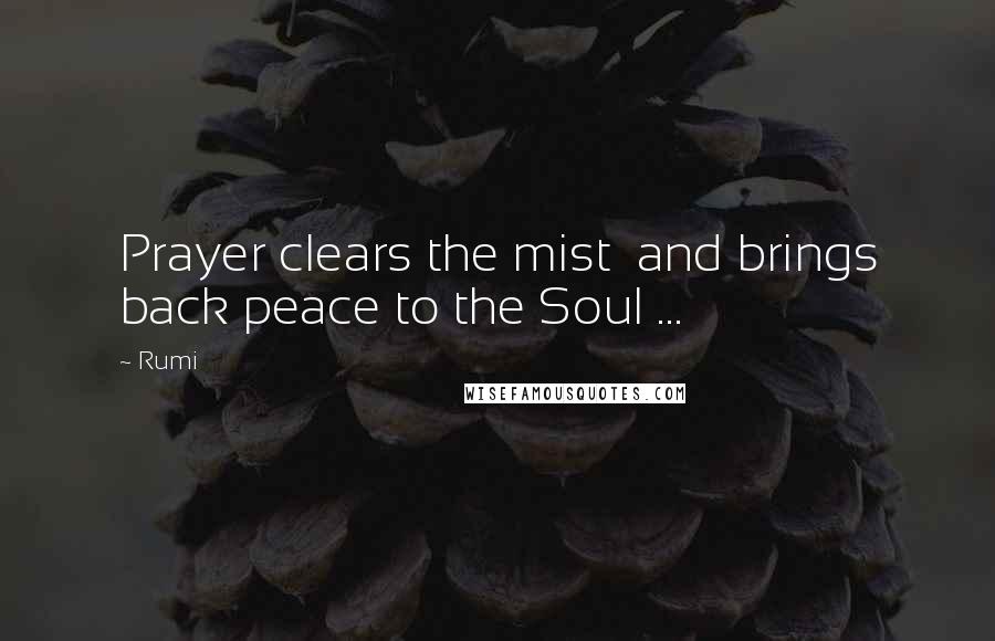 Rumi Quotes: Prayer clears the mist  and brings back peace to the Soul ...