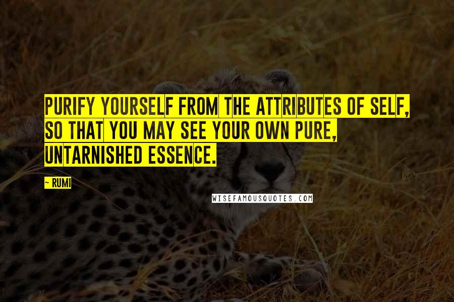 Rumi Quotes: Purify yourself from the attributes of self, so that you may see your own pure, untarnished essence.